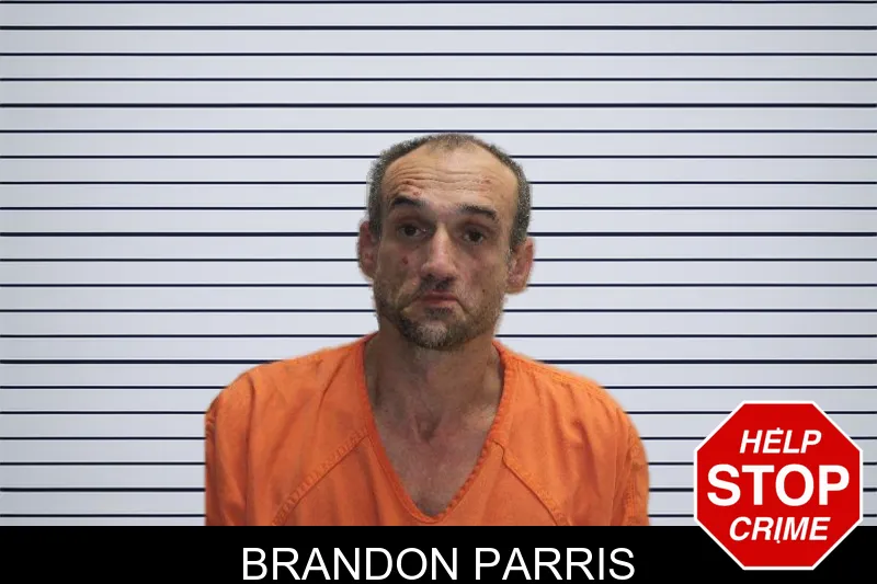 Brandon Parris Mugshots