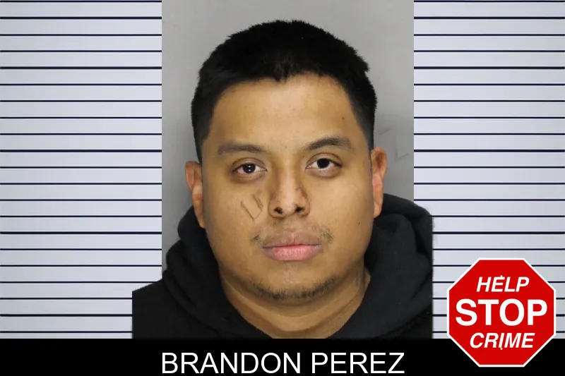 Brandon Perez Mugshots