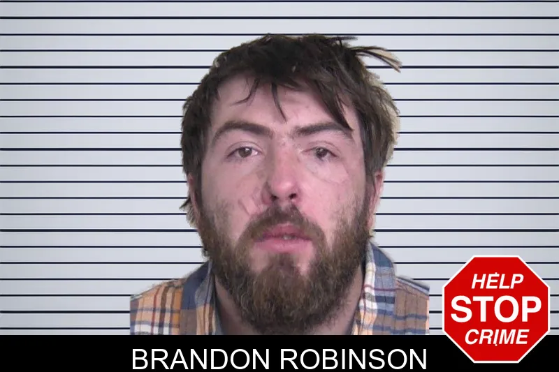 Brandon Robinson Mugshots