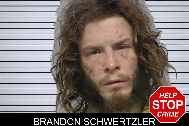 Brandon Schwertzler Mugshots