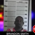 Brandon Smith Mugshots
