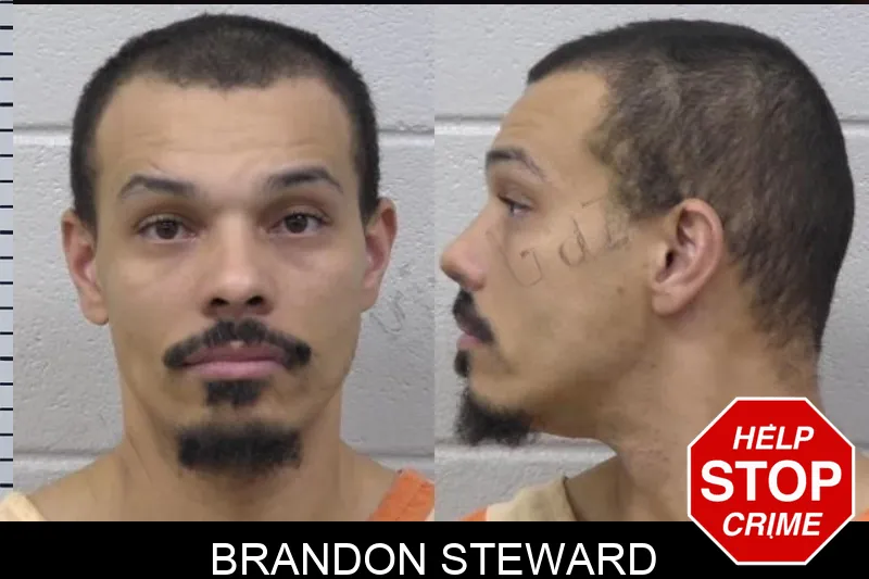 Brandon Steward Mugshots