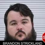 Brandon Strickland mugshot