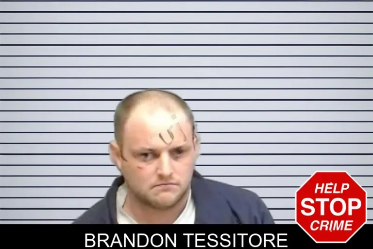 Brandon Tessitore