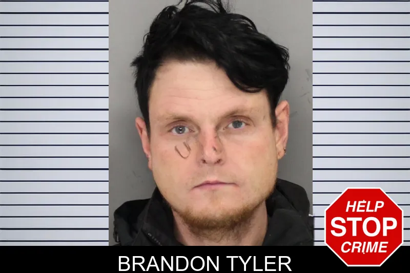 Brandon Tyler Mugshots