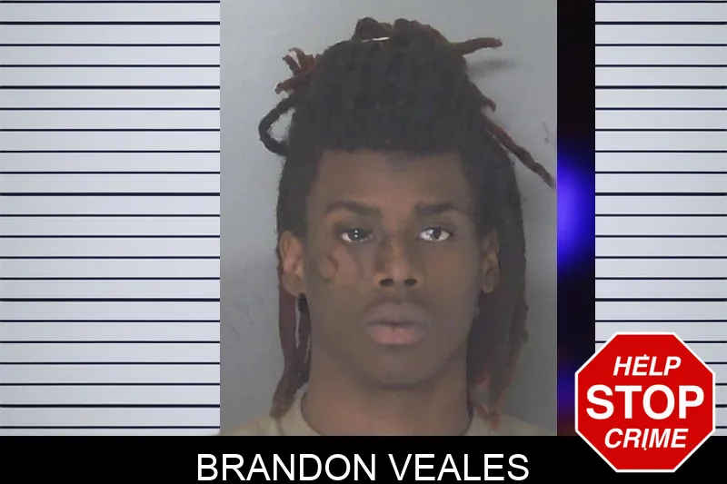 Brandon Veales Mugshots
