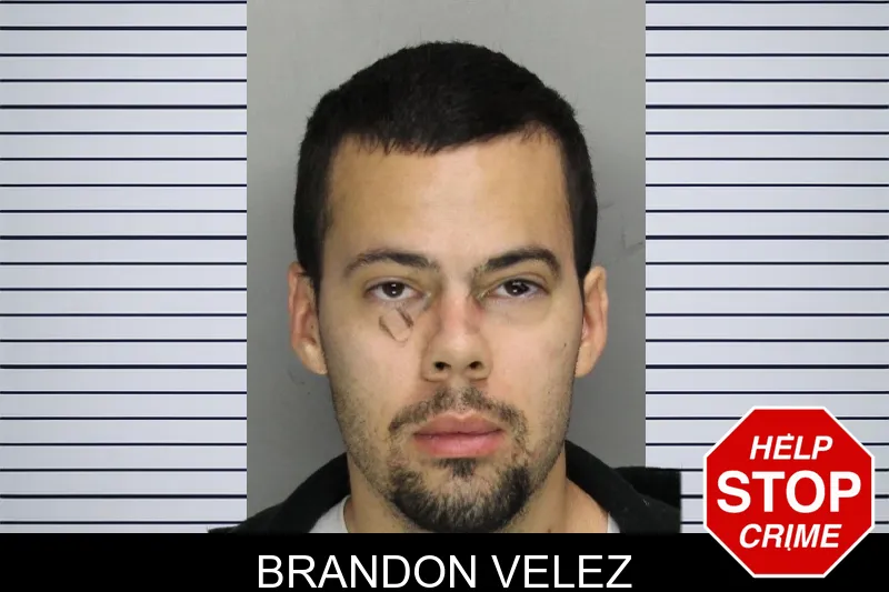 Brandon Velez Mugshots
