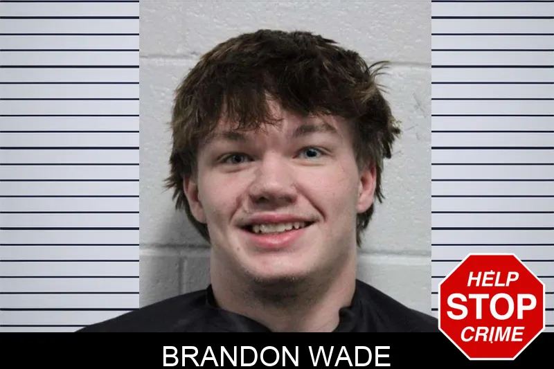 Brandon Wade Mugshots