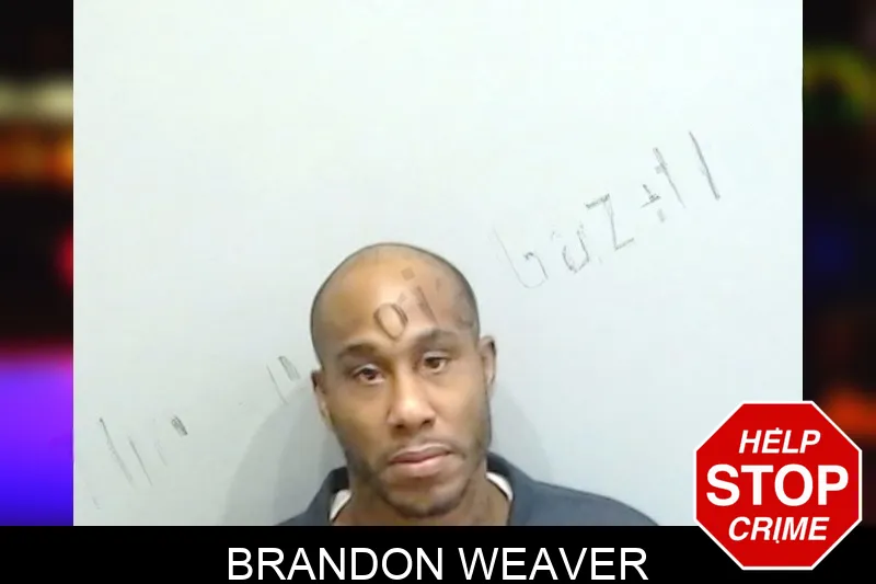 Brandon Weaver Mugshots