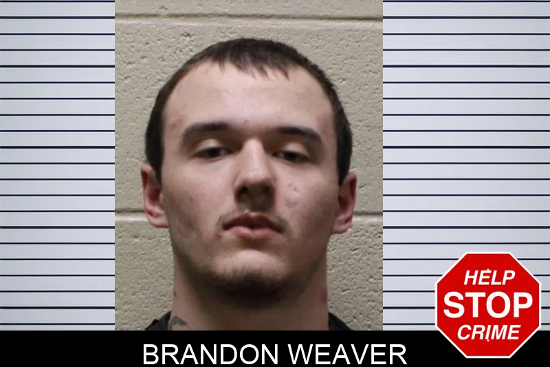 Brandon Weaver mugshot – Fulton County , Georgia Brandon Weaver mugshot