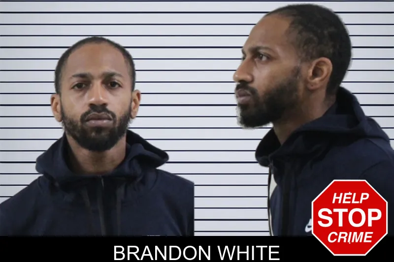 Brandon White mugshot