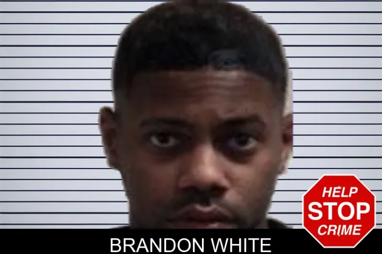 Brandon White mugshot – Henry County , Georgia Brandon White