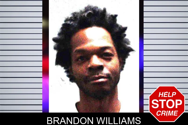Brandon Williams Mugshots
