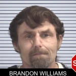 Brandon Williams Mugshots