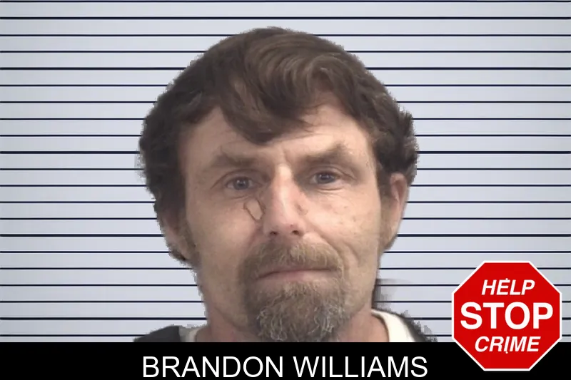 Brandon Williams Mugshots