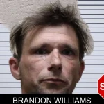 Brandon Williams mugshot