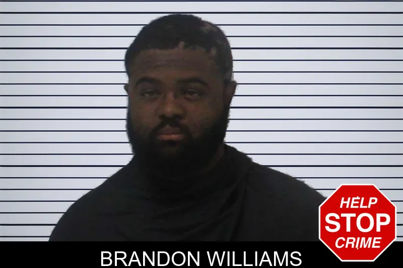 Brandon Williams mugshot
