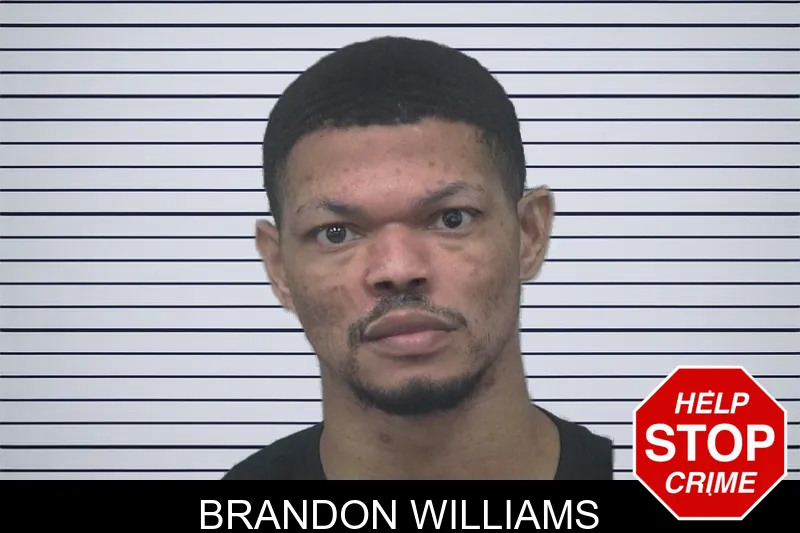 Brandon Williams mugshot – Gwinnett County , Georgia Brandon Williams mugshot