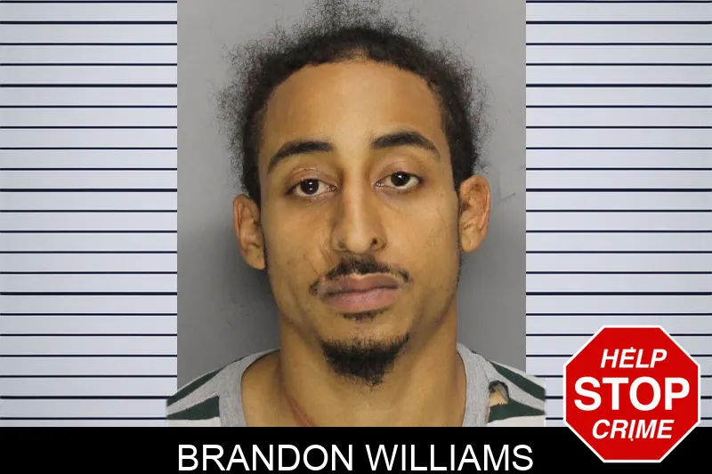Brandon Williams Mugshots