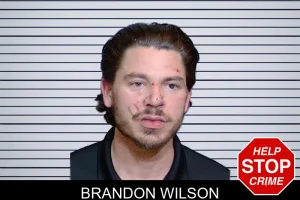 Brandon Wilson mugshot
