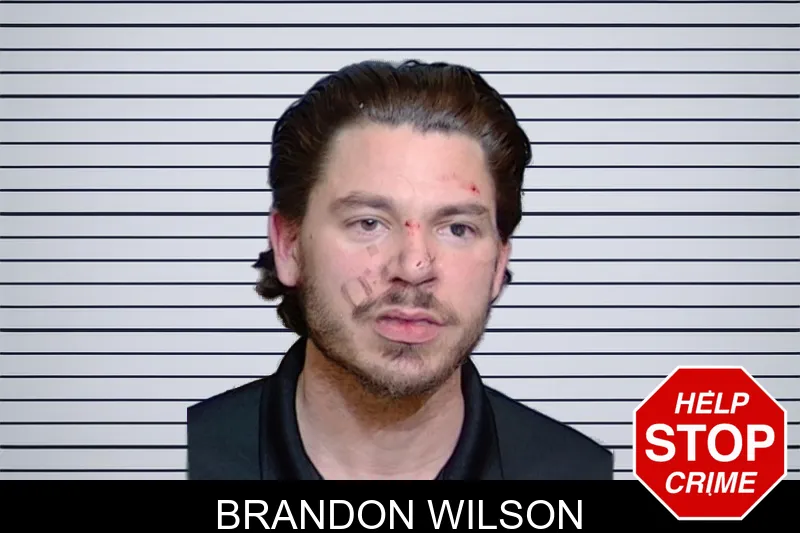 Brandon Wilson Mugshots