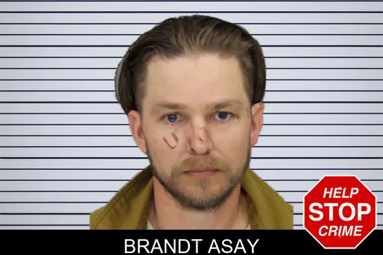 Brandt Asay