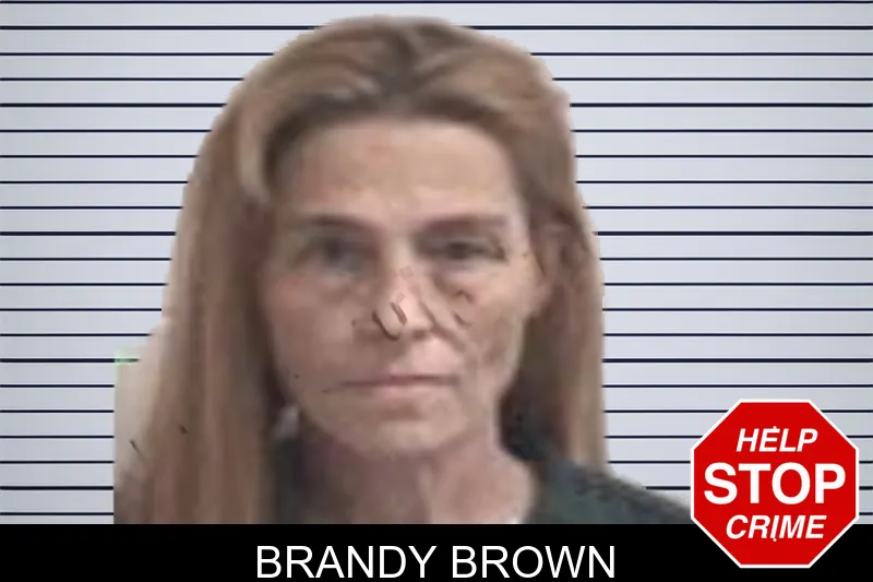 Brandy Brown mugshot