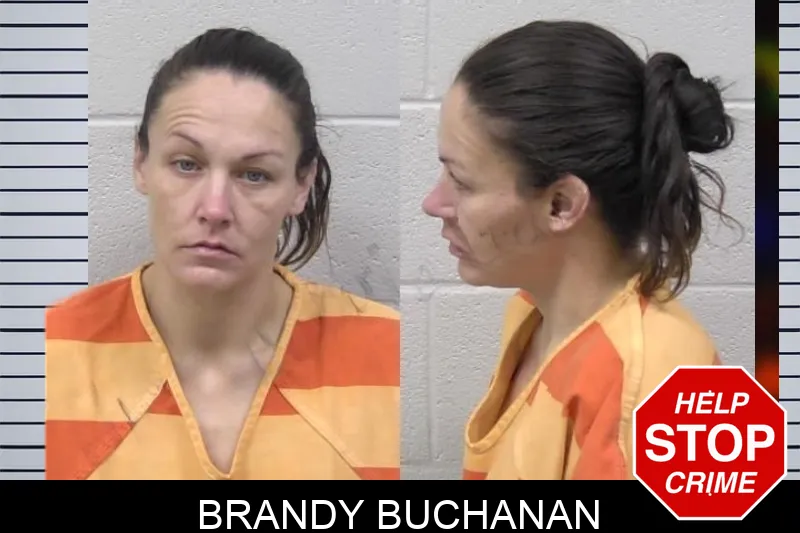 Brandy Buchanan mugshot – Paulding County , Georgia Brandy Buchanan mugshot