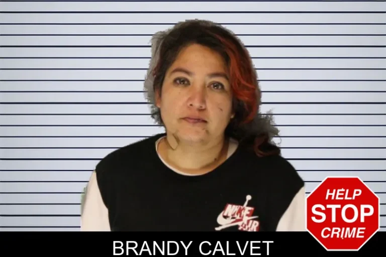 Brandy Calvet mugshot – Hall County , Georgia Brandy Calvet
