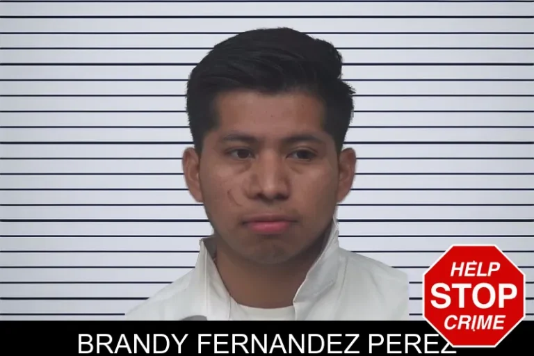 Brandy Fernandez Perez