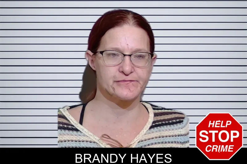 Brandy Hayes Mugshots