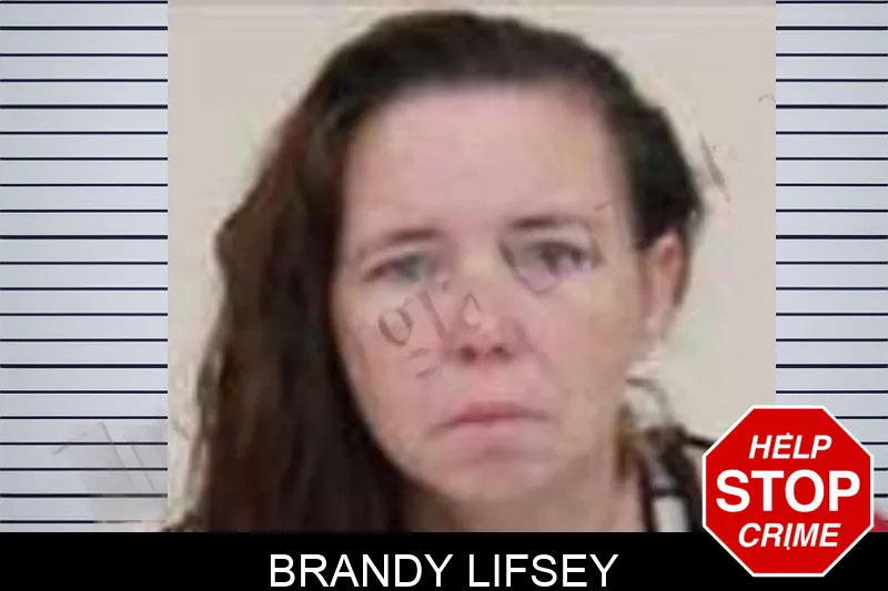 Brandy Lifsey Mugshots