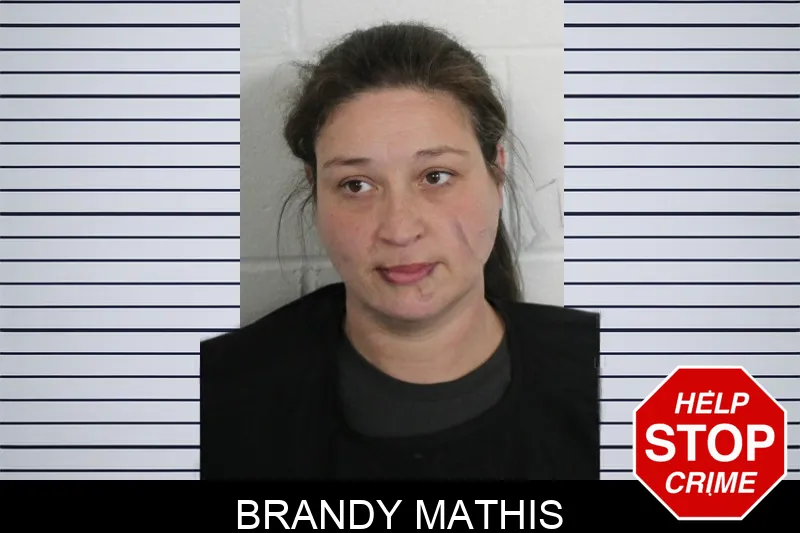 Brandy Mathis mugshot