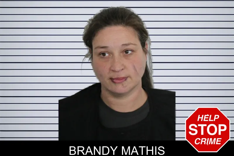 Brandy Mathis mugshot – Floyd County , Georgia Brandy Mathis mugshot