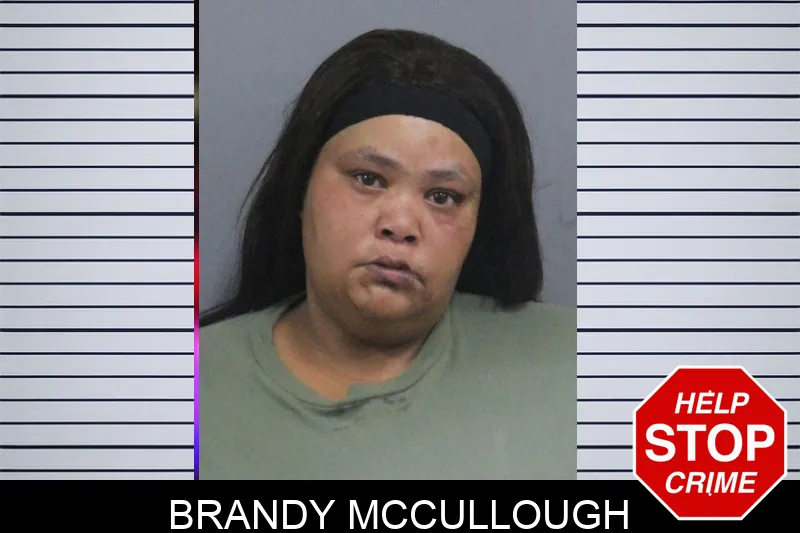 Brandy McCullough mugshot – Catoosa County , Georgia Brandy McCullough mugshot