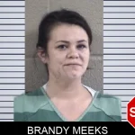 Brandy Meeks Mugshots
