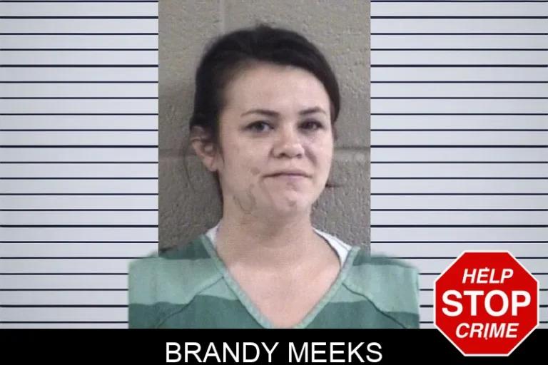 Brandy Meeks