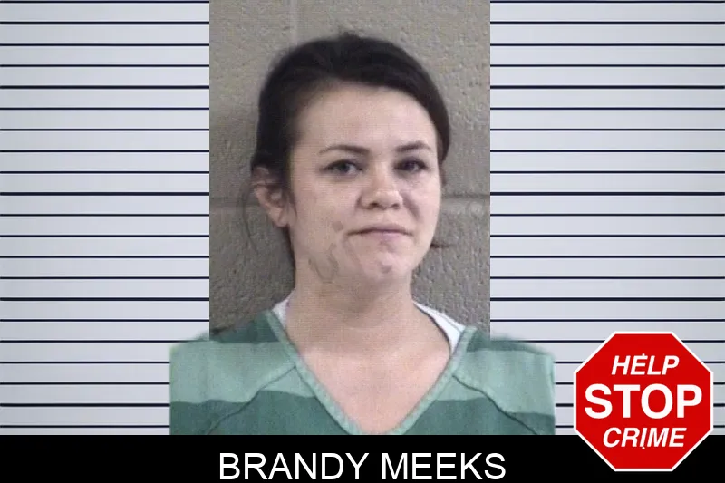 Brandy Meeks Mugshots