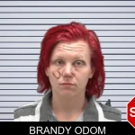 Brandy Odom mugshot – Dougherty County , Georgia Brandy Odom mugshot