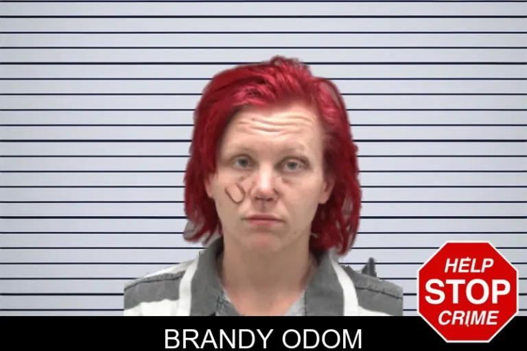Brandy Odom mugshot – Dougherty County , Georgia Brandy Odom