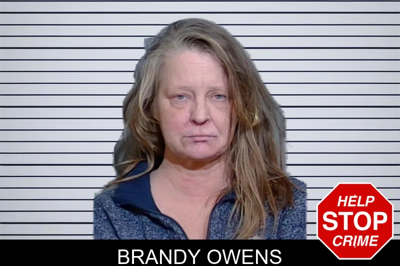 Brandy Owens Mugshots