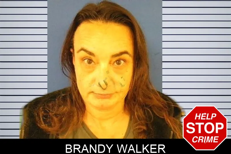 Brandy Walker Mugshots