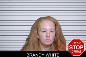 Brandy White mugshot