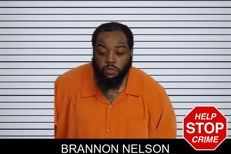 Brannon Nelson mugshot
