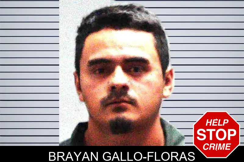 Brayan Gallo-Floras mugshot