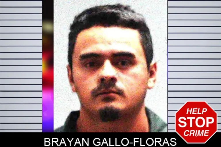 Brayan Gallo-Floras