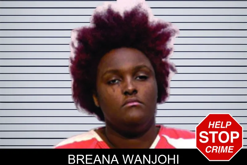 Breana Wanjohi mugshot