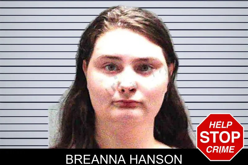 Breanna Hanson Mugshots