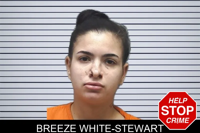 Breeze White-Stewart mugshot – Cherokee County , Georgia Breeze White-Stewart mugshot