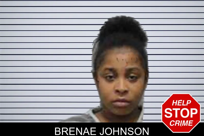 Brenae Johnson Mugshots